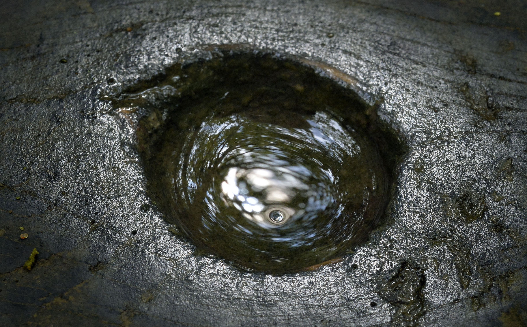 Knot Hole World